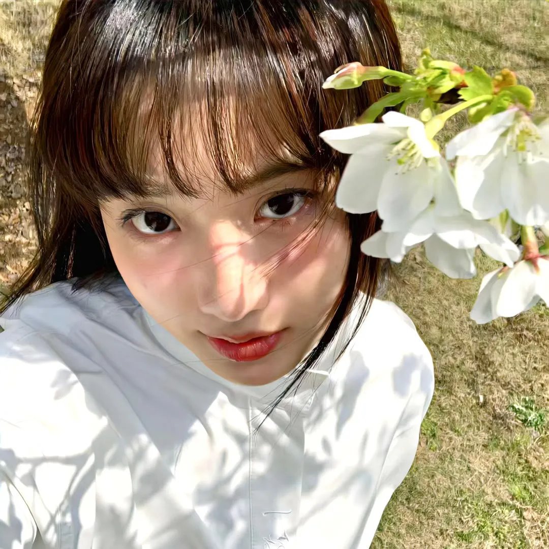 狗日子